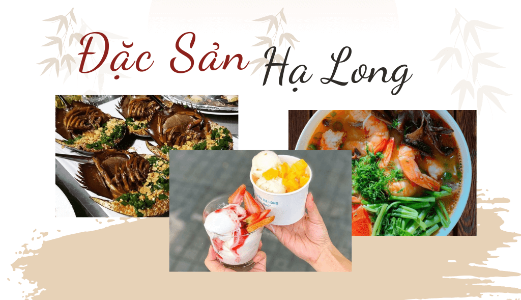 Ăn Gì Ở Hạ Long? Top 15+ Đặc Sản Ngon Quên Lối Về