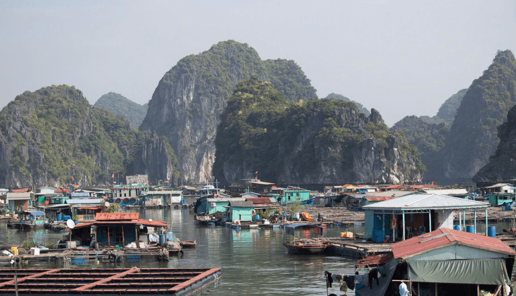 Khám Phá Làng Chài Cái Bèo - Ngôi Làng Nghìn Năm Giữa Biển