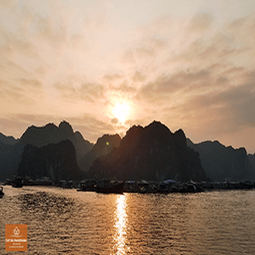 Tour vịnh Lan Hạ nửa ngày - Ngắm hoàng hôn trên du thuyền Panorama
