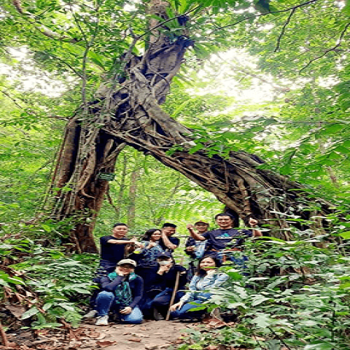 Tour Trekking- Ngủ rừng -Thăm  vịnh Lan Hạ - Cát Bà 2 ngày 1 đêm