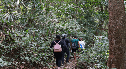 Tour Trekking- Ngủ rừng -Thăm  vịnh Lan Hạ - Cát Bà 2 ngày 1 đêm