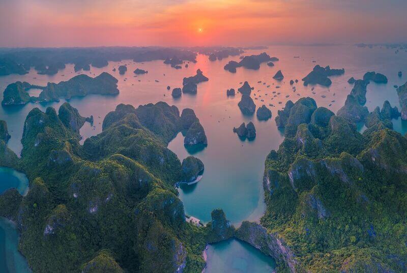 dao-mat-rong.jpg