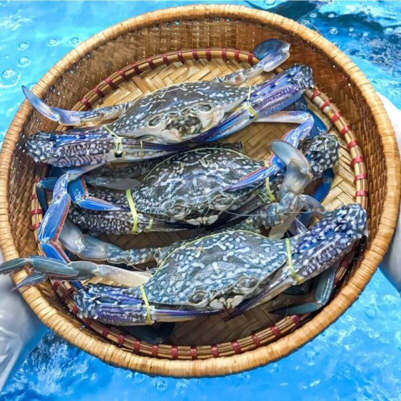 an-gi-o-co-to-top-dac-san-quan-ngon-khong-the-bo-lo.jpg