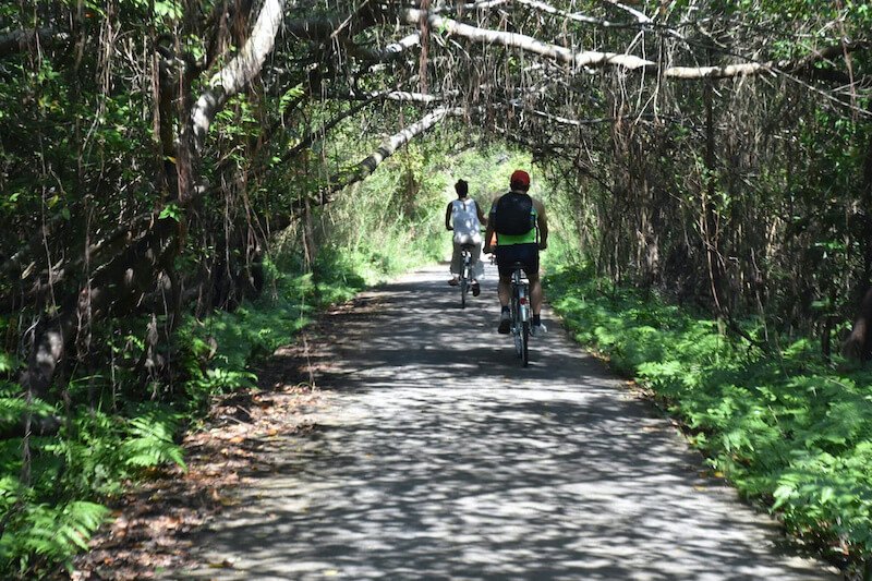 Đạp xe Việt Hải