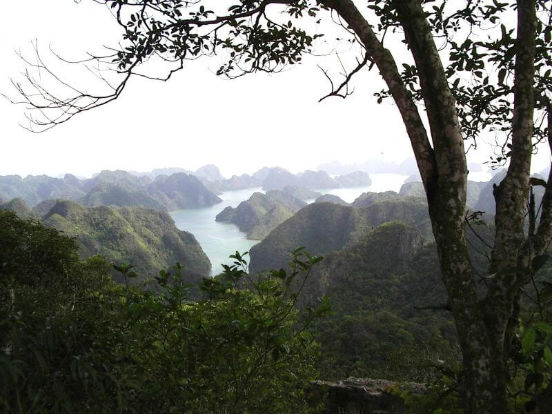 dinh-hai-quan-cat-ba.jpg