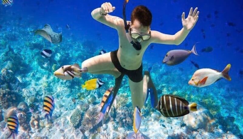 Lăn ngắm San H&ocirc; C&ocirc; T&ocirc;