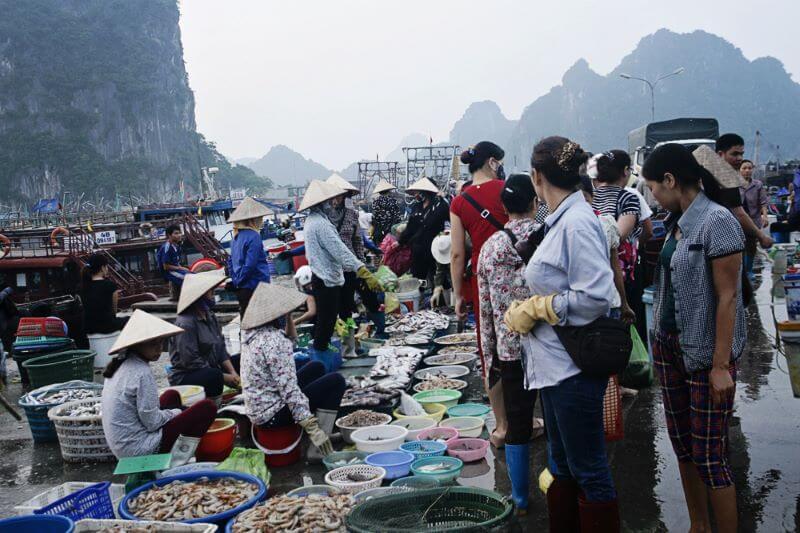 bat-mi-cho-hai-san-co-to-tuoi-ngon-gia-tot-nhat.jpg
