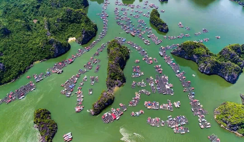 Làng chài nổi Cái Bèo