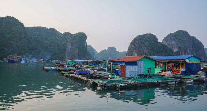 top-du-thuyen-5-sao-ha-long-dinh-nhat-trai-nghiem-hanh-trinh-co-1-0-2.jpg