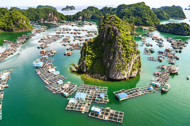 hon-trong-mai-ha-long-bieu-tuong-tinh-yeu-giua-long-di-san.jpg