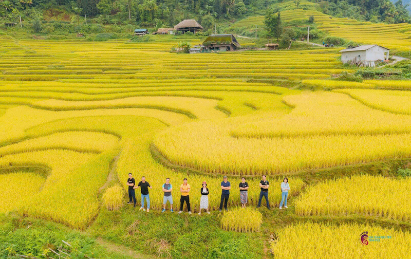 Ruộng bậc thang Hà Giang