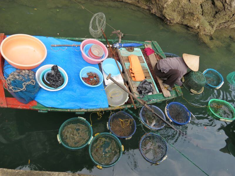 lang-chai-vung-vieng-kham-pha-nhip-song-ngu-dan-tren-vinh-ha-long.jpg