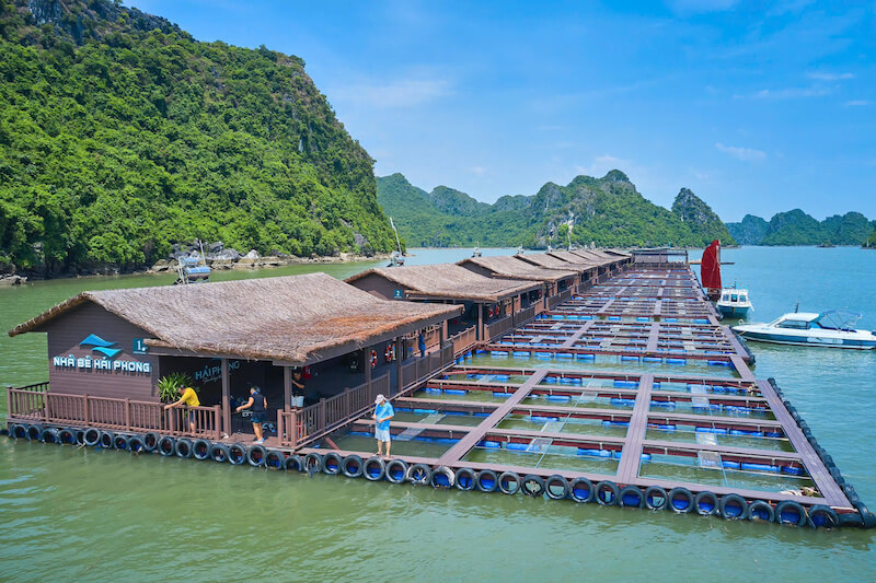 Lồng bè nuôi trồng hải sản