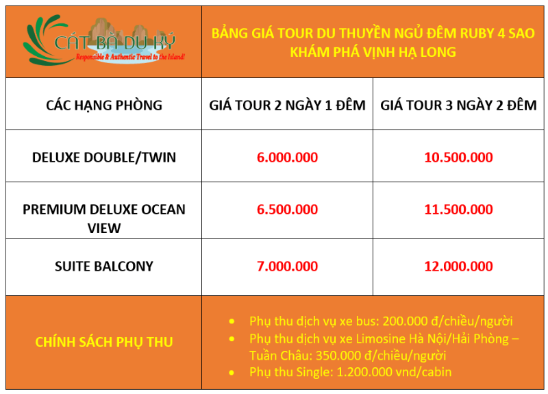 du-thuyen-ruby-4-sao-ha-long-–-trai-nghiem-van-hoa-doc-dao.jpg