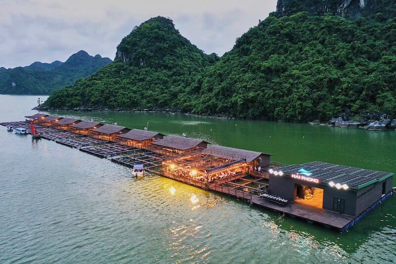 Tour cau mực vịnh Lan Hạ 5
