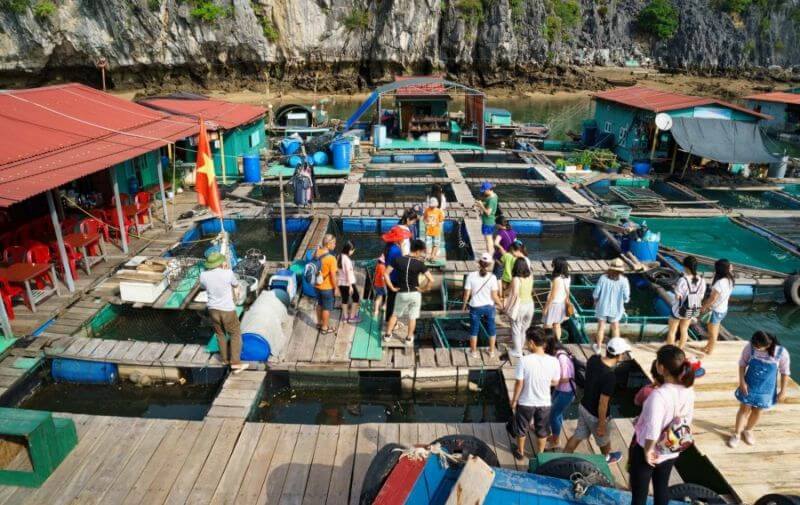 du-thuyen-skyway-5-sao-cat-ba-tan-huong-ky-nghi-xa-hoa-giua-vinh.jpg