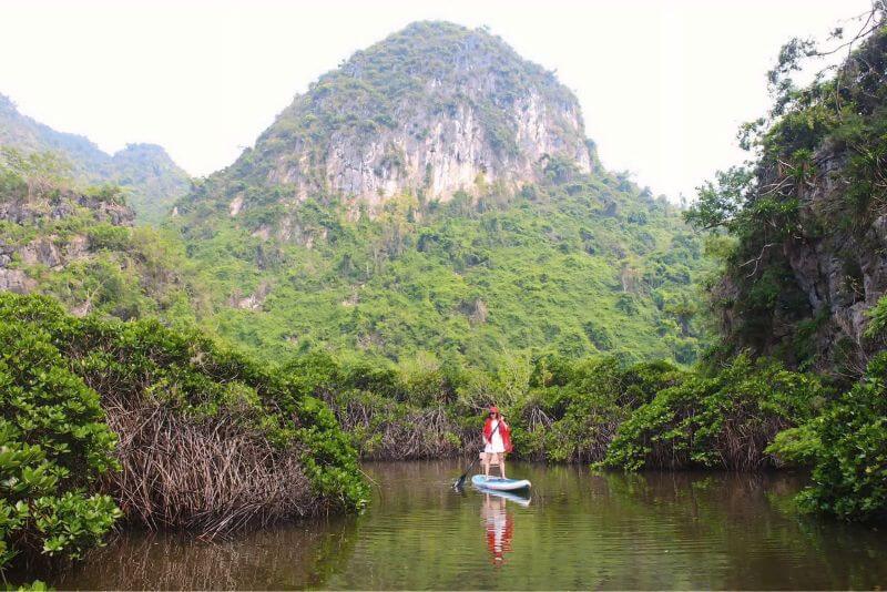 Tour-nua-ngay-rung-ngap-man-phu-long-cat-ba.jpg